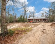 250 Boggy Creek Lane, Willis image