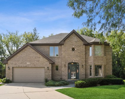 229 E Kerry Brook Lane, Arlington Heights