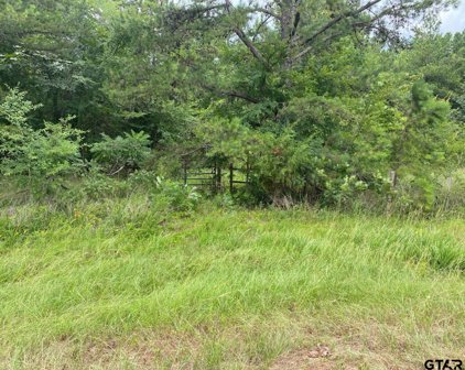 TBD CR 1108, Flint