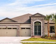 12726 Bergstrom Bay Drive, Riverview image