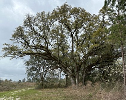 Tract#6201 SW Sw County Hwy 181, Defuniak Springs