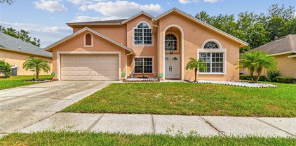 4412 Winding River Drive, Valrico
