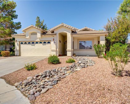 2214 Flowering Cactus Avenue, Henderson
