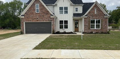 10258 May Flowers Street, Olive Branch