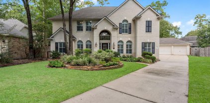 31 Sunny Oaks Place, The Woodlands