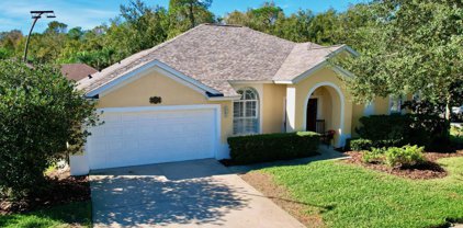 25552 Risen Star Drive, Zephyrhills