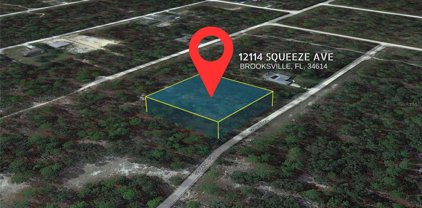 12114 Squeeze Avenue, Brooksville