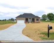 3516 Cloninger  Road, Dallas image