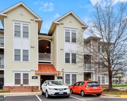 6185 Willow Pl Unit #306, Bealeton