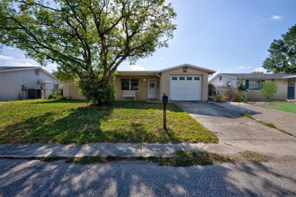 9330 Saint Regis Lane, Port Richey