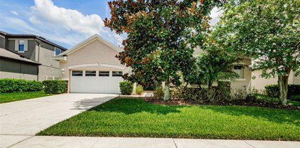 21814 Southern Charm Drive, Land O' Lakes