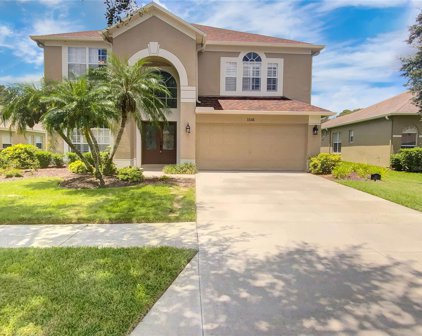 1141 Big Creek Drive, Wesley Chapel
