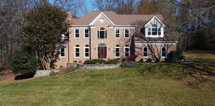 503 Old Saybrook Way, Great Falls