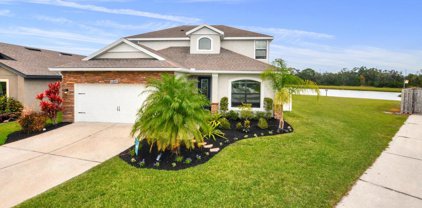 11810 Thicket Wood Drive, Riverview