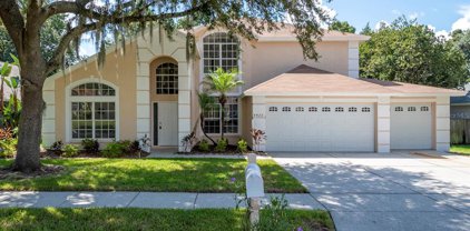 4426 Winding River Drive, Valrico