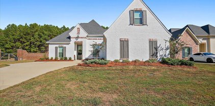 201 Duchess Court, Flowood