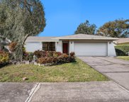 506 Constitution Drive, Tampa image
