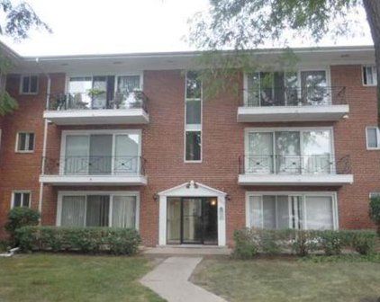 10115 Old Orchard Court Unit #304, Skokie