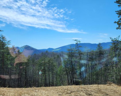 Lot 3 Reese Mountain  Rd, Elliston