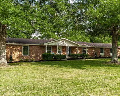 168 New Shackle Island Rd, Hendersonville