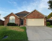 10119 Andre  Drive, Irving image