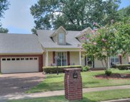 3625 Appling Lake Dr, Bartlett image