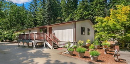 17730 SE Petrovitsky Road, Renton