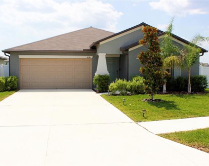 10385 Scarlet Skimmer Drive, Riverview