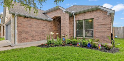 13919 Cotton Meadows Lane, Houston