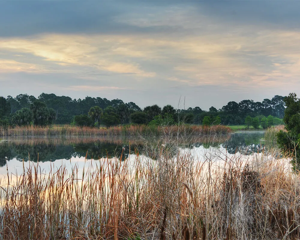 Palm Bay Real Estate