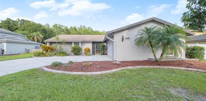 16601 Foothill Drive, Tampa