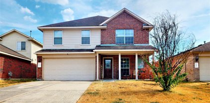 2426 Spring Lily Court, Spring