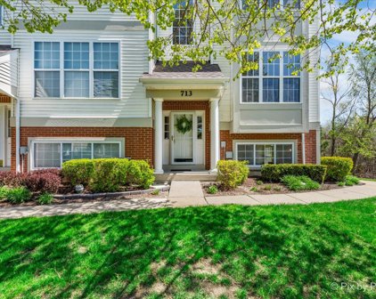 713 Pheasant Trail, St. Charles