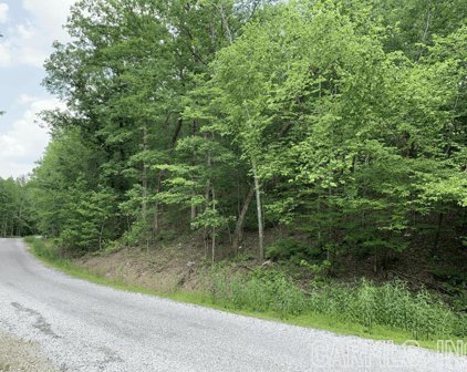 TBD (Lot 17) Denby Cove Subdivision, Mount Ida