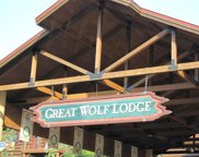 1400 Great Wolf Drive Unit 3340, Lake Delton image