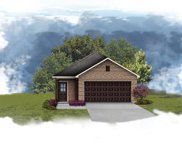 10919 Bonfire Trail, Beasley image