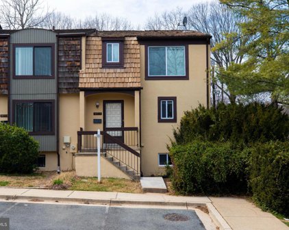 10714 Muirfield Dr, Potomac