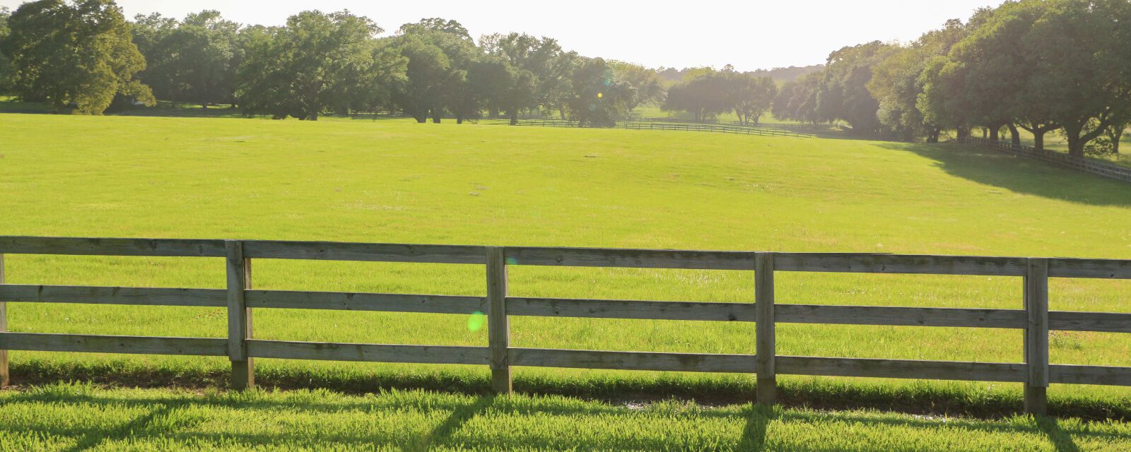 Gulf Coast Acreage Real Estate
