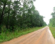 414 S Magnolia Drive, Cleveland image