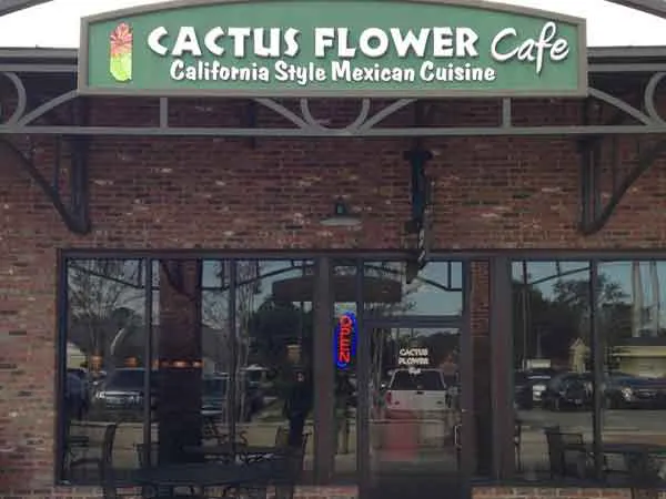 cactus flower cafe