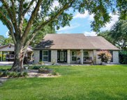 29208 Dove Lane, Katy image