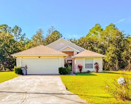 1421 Teal Court, Kissimmee