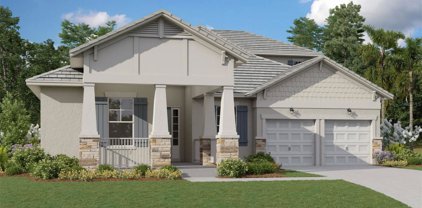14273 Crest Palm Avenue, Windermere