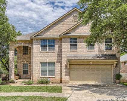 14322 Dona Ana Dr, Helotes