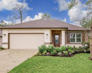 29023 Pine Forest Drive, Magnolia image