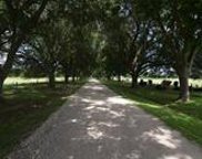 1202 Fm 359 Road, Richmond image