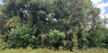 847 Lark Court, Deltona