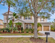 16113 Colchester Palms Drive, Tampa image