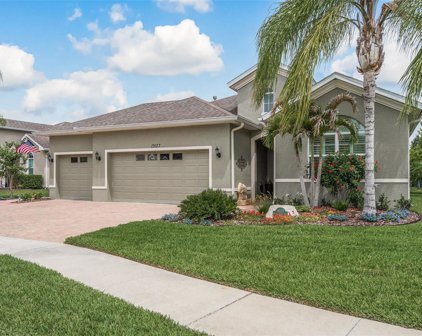 19127 Falcon Crest Boulevard, Land O' Lakes