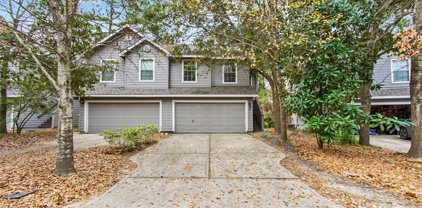 143 Anise Tree Place, The Woodlands